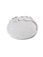 Plants: image 2 0f 4 thumb